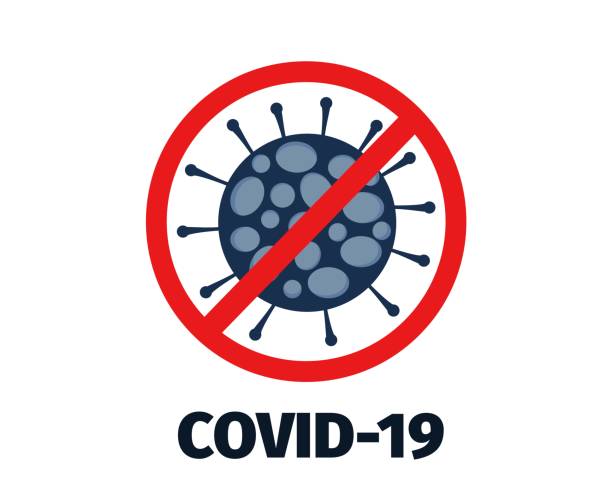 Distance learning in Russia due to the novel COVID-19 pandemic