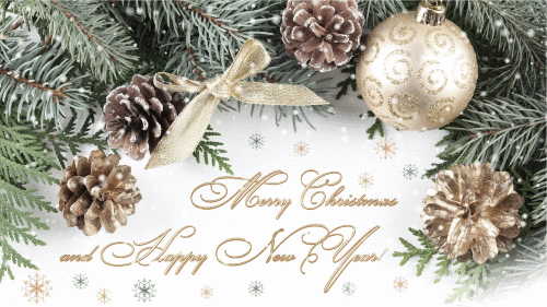Our warmest congratulations on the New Year and Merry Christmas!